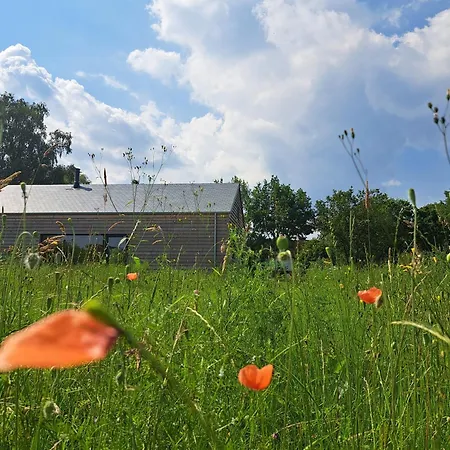- Relais Randonneur - Capacite Max De 9 Personnes *